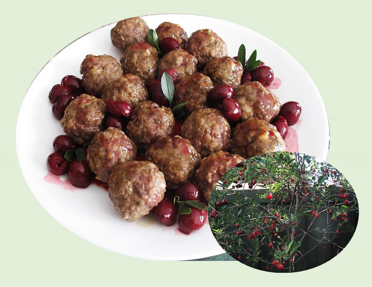 Belgium Meatballs w/ Sour Cherries